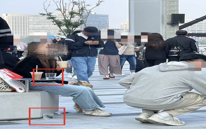 蓝瓶咖啡门店玻璃杯被顾客用于喂狗，公用餐具卫生争议再引热议