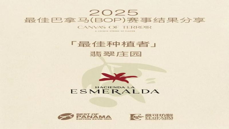 翡翠庄园再夺BOP三项桂冠，瑰夏拍卖价或将首次站上万美元关口