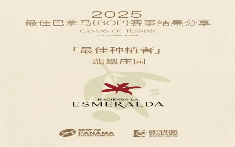 翡翠庄园再夺BOP三项桂冠，瑰夏拍卖价或将首次站上万美元关口
