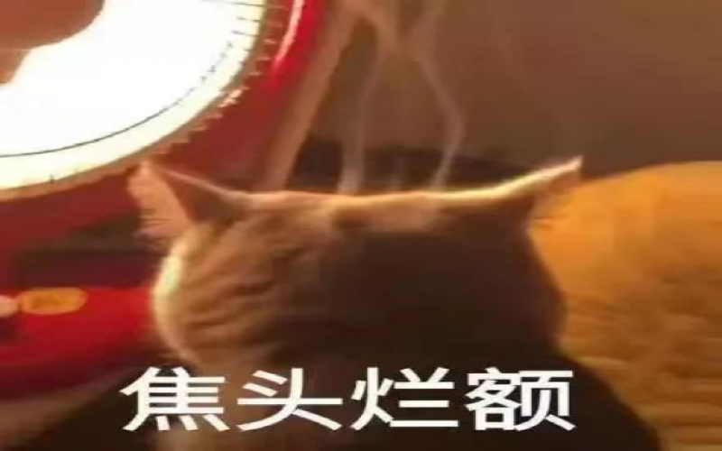星巴克随行杯制作流程引环保质疑，漂绿争议与杯盖塑料问题再受关注