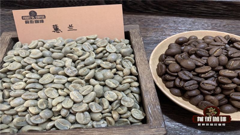 A Detailed Explanation of Colombian Coffee Bean Grading Standards: How Bean Size Determines Quality Grade and Export Specifications