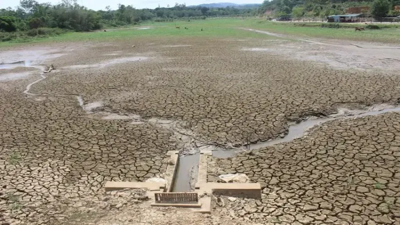 罗布斯塔期货突破4000美元关口：越南减产、农户惜售与资本涌入如何搅动全球咖啡市场