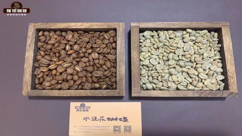前街巴拿马波奎特花蝴蝶：含40%瑰夏的精品水洗咖啡豆风味与产区解析