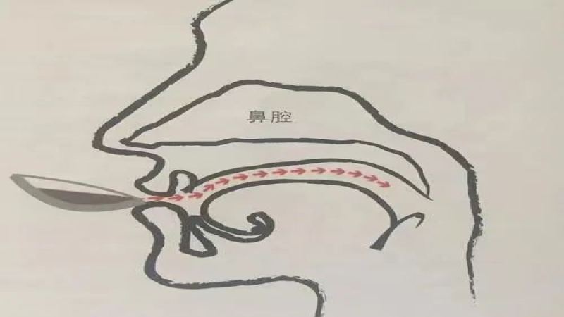 咖啡品鉴中的啜吸技巧：原理、操作流程与日常饮用建议