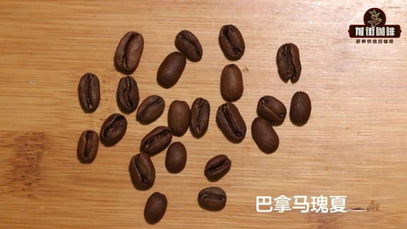 埃塞俄比亚瑰夏村庄园红标瑰夏：产区故事、品种特色与冲煮解析