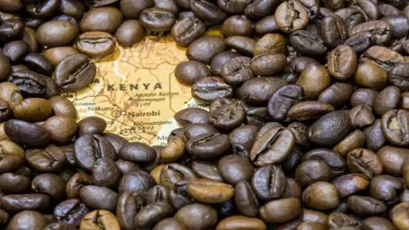 Kenyan Specialty Coffee Beans | Why Does Kenyan Coffee Have Such High Recognizability? Where Does the Acidity in Kenyan Coffee Come From?