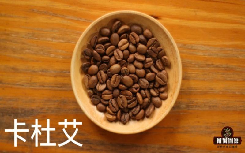 卡杜艾咖啡完整解析：品种来源、风味特点与手冲实操指南