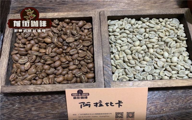 Coffee beans worth buying again: a review exploring how different roast levels change the cup