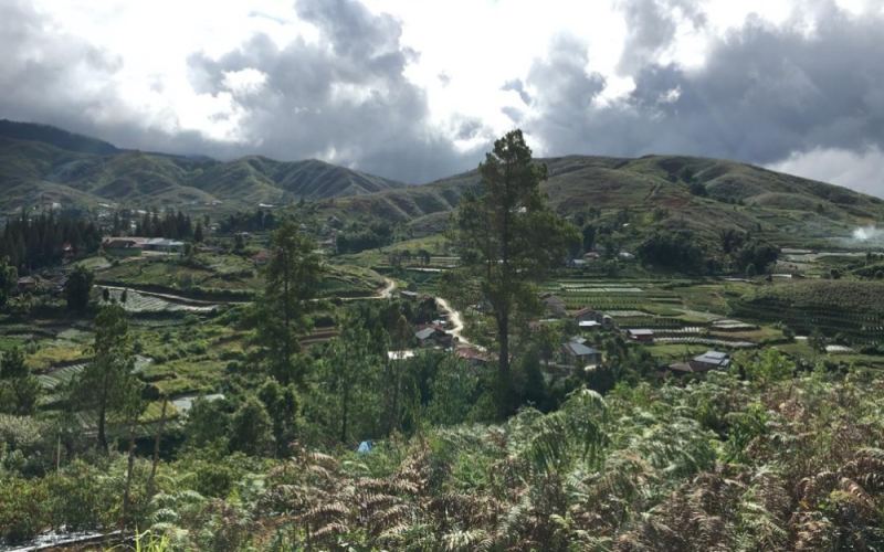 印尼曼特宁咖啡豆品种解析：湿刨法处理特色与风味冲泡全指南