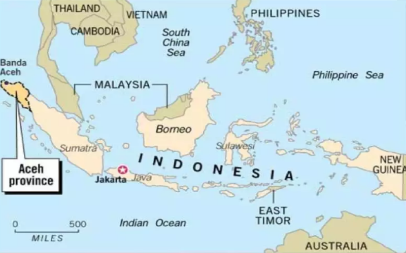Sumatra Coffee Producing Region | Which coffee varieties are grown on the Indonesian island of Sumatra? Is Mandheling coffee an Arabica specialty coffee bean?