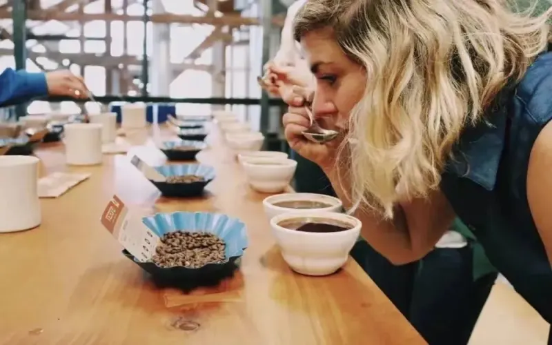 手冲咖啡萃取效率的调整方法与咖啡师出品前试饮的原因解析