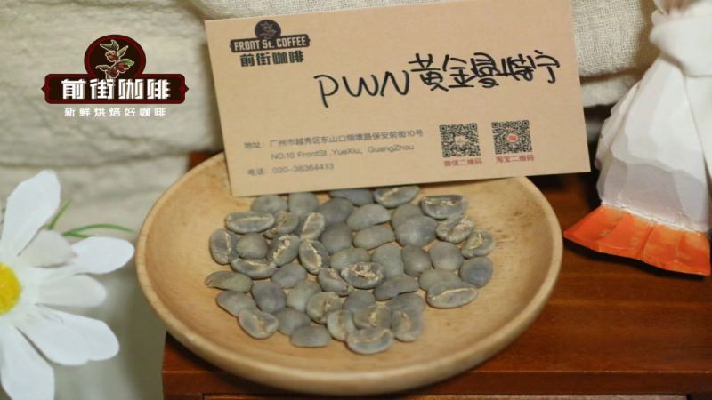 Indonesian Mandheling Coffee Bean Variety | Is PWN Golden Mandheling Arabica Coffee? Which Is Better for Brewing Golden Mandheling: Pour-Over, Siphon, AeroPress, or French Press?