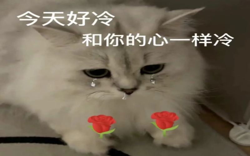 西班牙拿铁并非源自西班牙？冰滴与冷萃的发明地，以及阿拉比卡命名背后的美丽误会