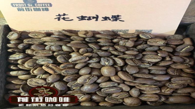 巴拿马波奎特花蝴蝶咖啡豆：瑰夏血统拼配单品？产区、风味与冲煮全解析