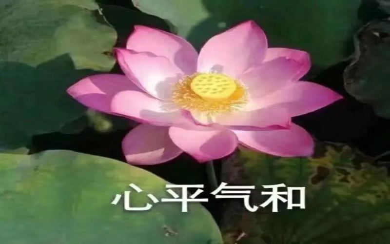 逃离996开咖啡馆就轻松了？年轻人入行前必须想清楚的经营真相