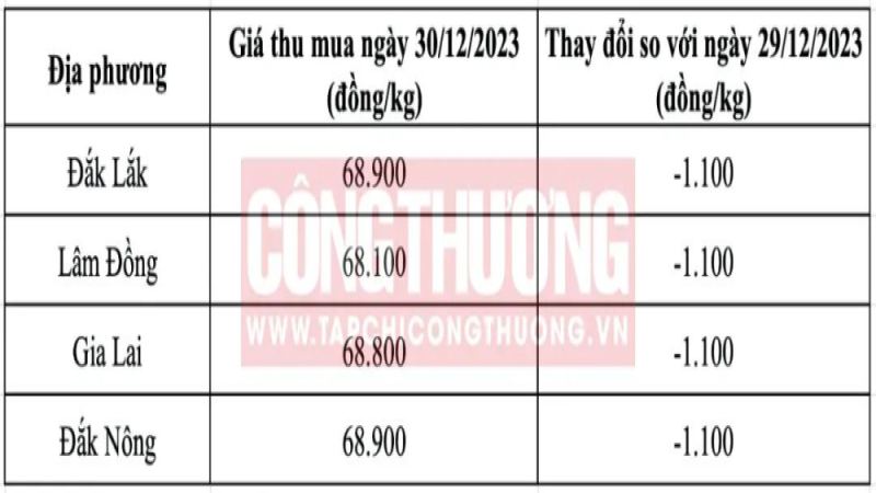越南咖啡供应回升带动价格回调，全球市场多重因素共同作用