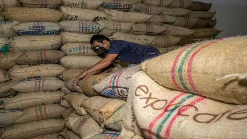 哥伦比亚咖啡年产量攀升21%，出口前景与物流挑战并存