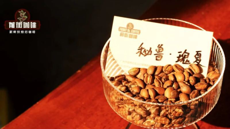 南美低调产区秘鲁精品咖啡：卡哈马卡水洗瑰夏风味与产业历史全解析