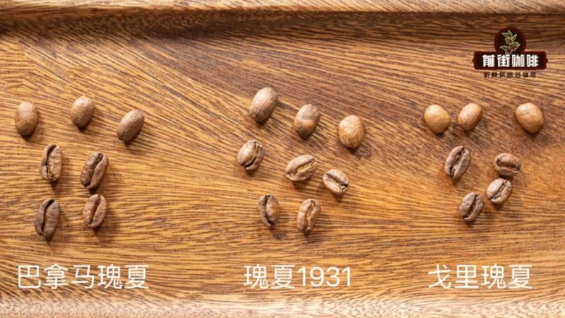 巴拿马瑰夏咖啡全解析：品种起源、手冲参数与水温粉比实操指南