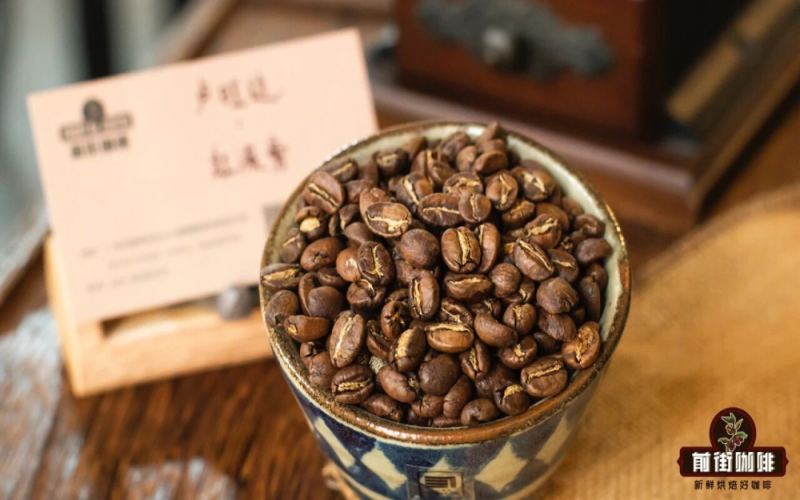 Selected Single-Origin Coffee Types | Which Coffee Beans to Use for Pour-Over, Cold Brew, and Ice Drip? What Are the Representative Specialty Coffees with Bright Acidity and Full Body?