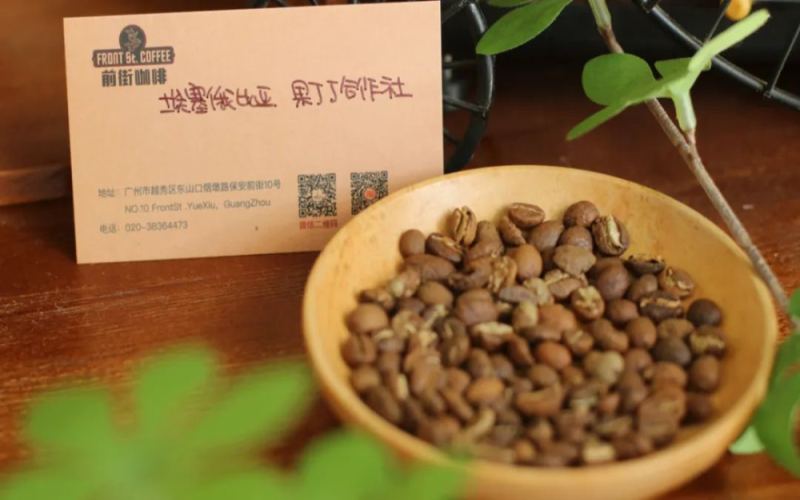耶加雪菲水洗豆全解析：品种特性、处理工艺与手冲适用场景