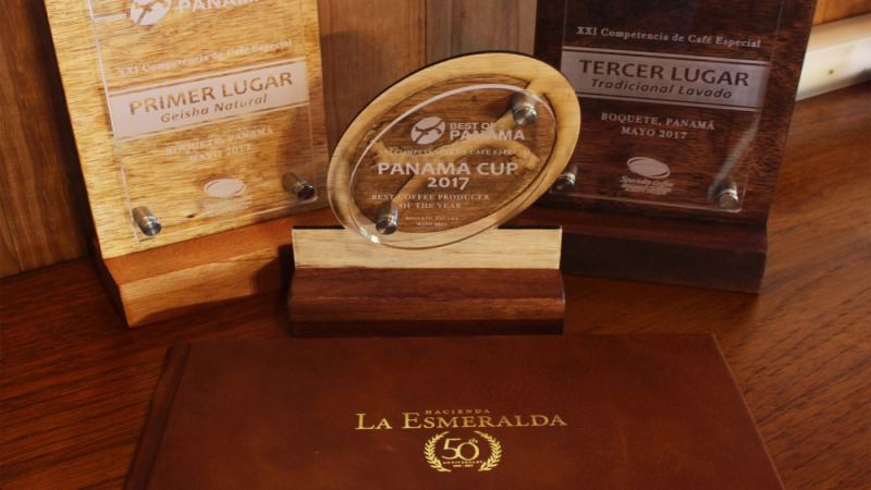 A Complete Guide to Panama Hacienda La Esmeralda Geisha Auctions: Red, Green, and Blue Label Tiers, Plot Divisions, and Historical Auction Prices
