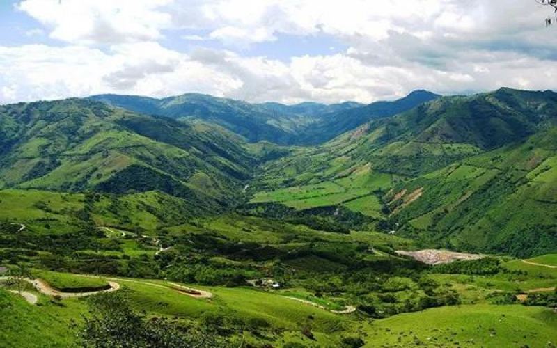 巴西推出Cafes do Brasil可追溯平台，应对欧盟无毁林进口新规