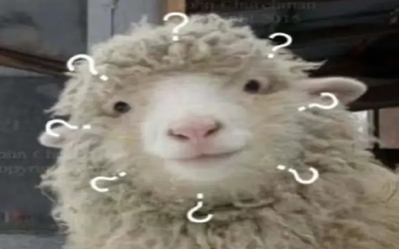 咖啡苦味成因解析：如何区分萃取过度与烘焙过深并精准调控手冲参数