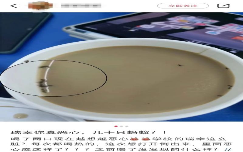 瑞幸饮品被曝混入大量蚂蚁，消费者不满五张优惠券赔偿方案