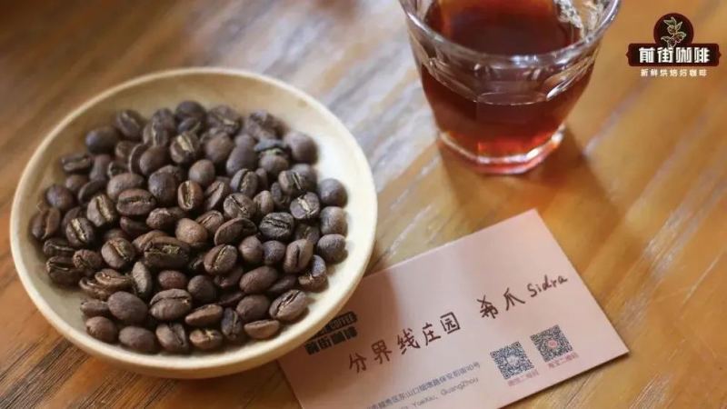 希爪咖啡品种全解析：从厄瓜多尔起源到哥伦比亚成名之路