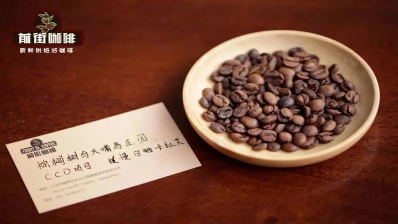 巴拿马CCD创新处理项目解析：从概念到棕榈树与大嘴鸟庄园的实践