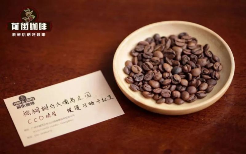 巴拿马CCD创新处理项目解析：从概念到棕榈树与大嘴鸟庄园的实践
