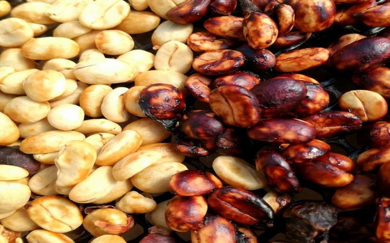 Cocoa Aromas from Light to Dark: How to Choose Coffee Beans for a Moka Pot