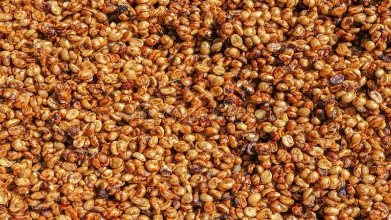哥斯达黎加蜜处理咖啡风味解析：米拉苏庄园瑰夏拼配豆的冲煮与品鉴指南