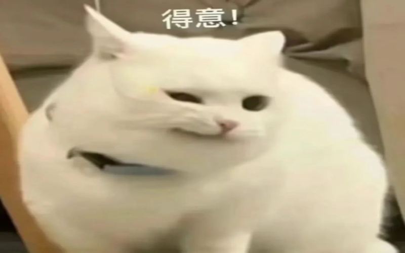 咖啡风味轮深度解读：SCA新版风味轮中文高清图与72位专家感官体系