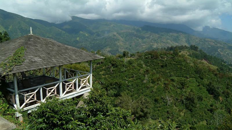 Jamaican Blue Mountain Coffee Flavor Characteristics and Historical Origins: A Complete Interpretation from Growing Regions to Grade Classification
