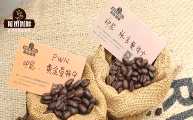 Yirgacheffe Coffee Bean Recommendation and Buying Guide: How Equipment, Parameters, and Bean Flavor Work Together