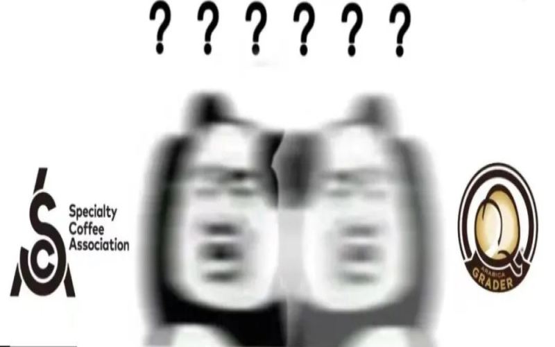 咖啡师考证值不值？SCA认证与Q-Grader资质区别全解析