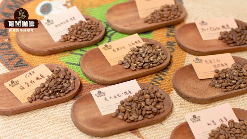 How to Choose Medium-Roast Beans for Espresso Machines: A Flavor Guide from Sweet-Tart to Rich and Mellow