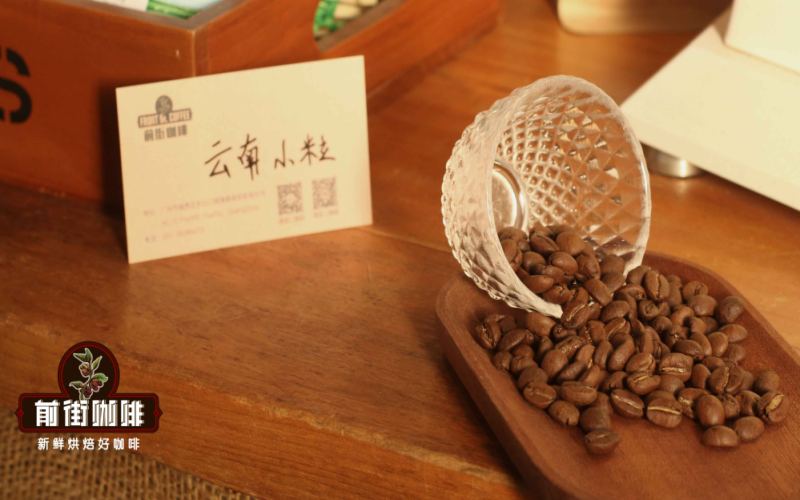 云南咖啡豆风味特征、研磨刻度与产区品种选购全解析