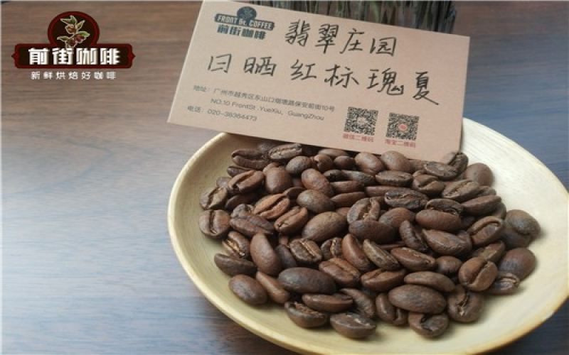 瑰夏咖啡入门：新手尝一口橘香蜜韵