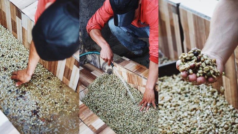 Yirgacheffe coffee beans, where to buy them for light roast and dark roast respectively