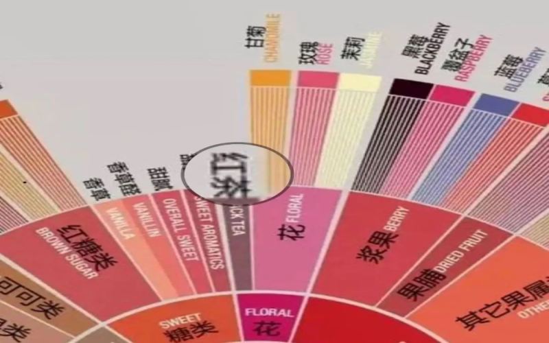 咖啡风味中的茶感从何而来？解析涩感与生津回甘的判断逻辑