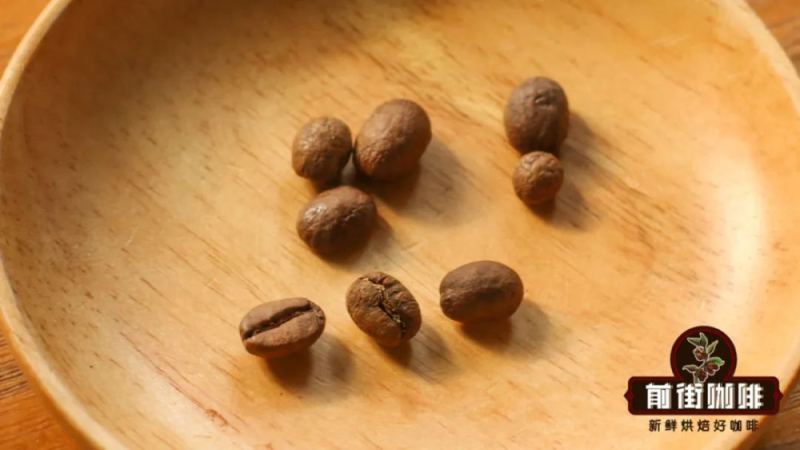 咖啡豆真有公母之分吗？解析圆豆与平豆的成因、分级差异与市场价值