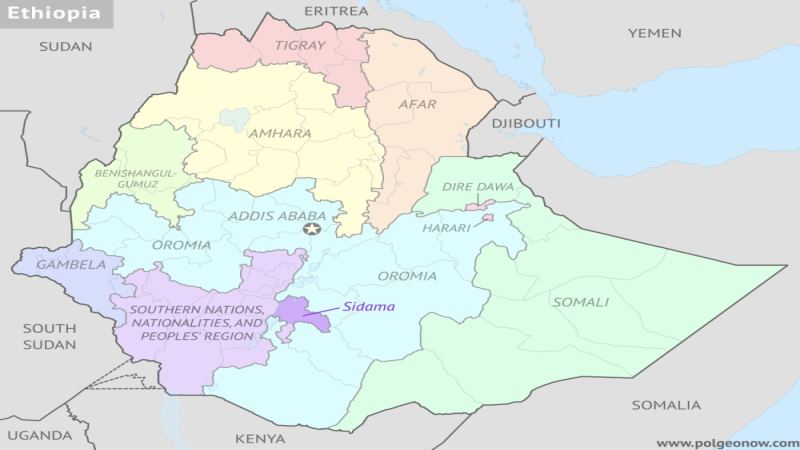 Ethiopia Sidama Coffee Flavor Analysis: New Crop Huakui 7.0 Coffee Bean Quality and Taste Review

