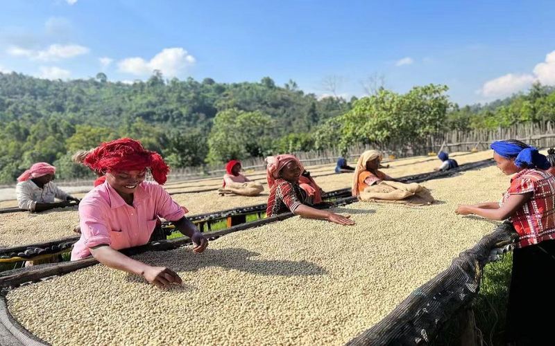 For automatic coffee machines, choose bean roast level like this
