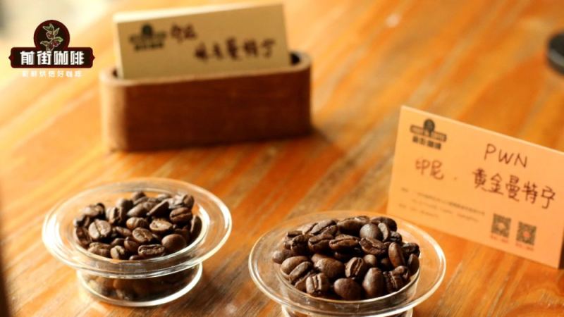 曼特宁G1与黄金曼特宁等级差异解析，手冲口粮豆该怎么选