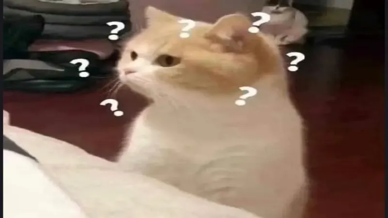 浓缩咖啡的Crema是油脂吗？揭开咖啡油脂真假之谜与本质成因