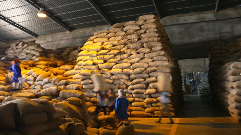 A Complete Guide to Green Coffee Packaging and Storage: From Jute Bags to Vacuum Seals and Freezing Methods
