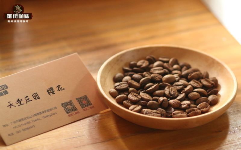 哥伦比亚天堂庄园樱花咖啡豆风味解析与V60冲煮参数指南